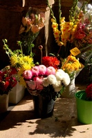 cut-flowers-florence-italy.jpg