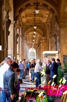 flower-market-arcade.jpg