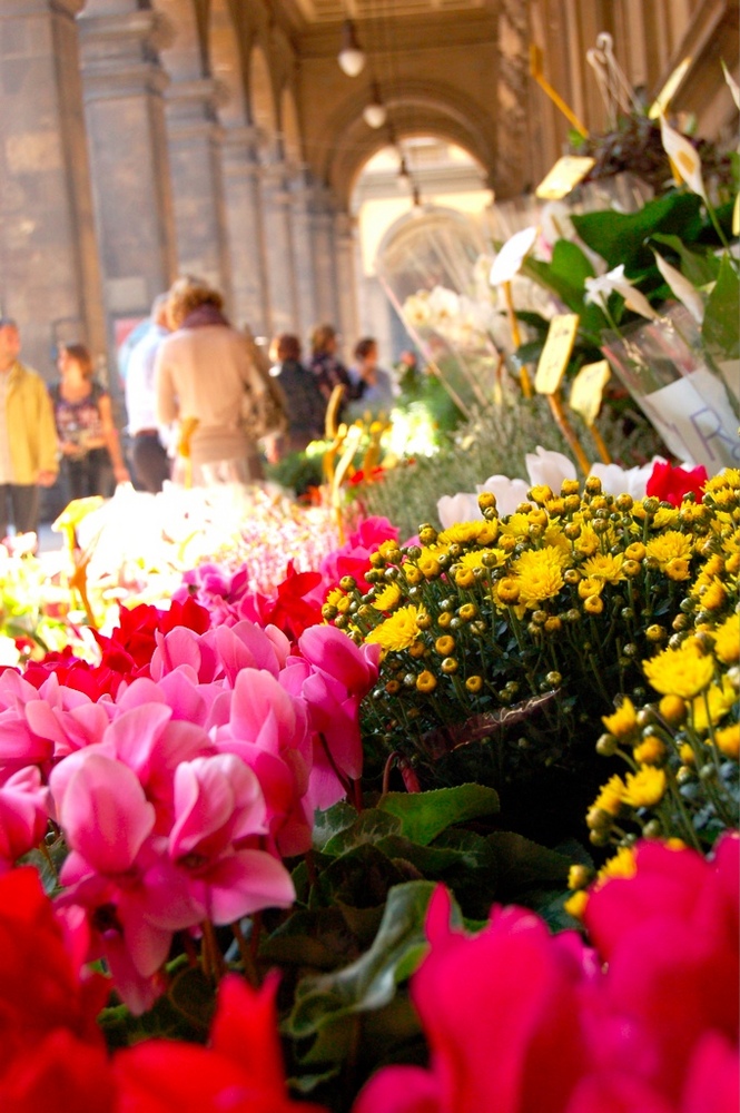 http://www.florence-on-line.com/images/florence-flower-market/flower-market-florence-italy.jpg