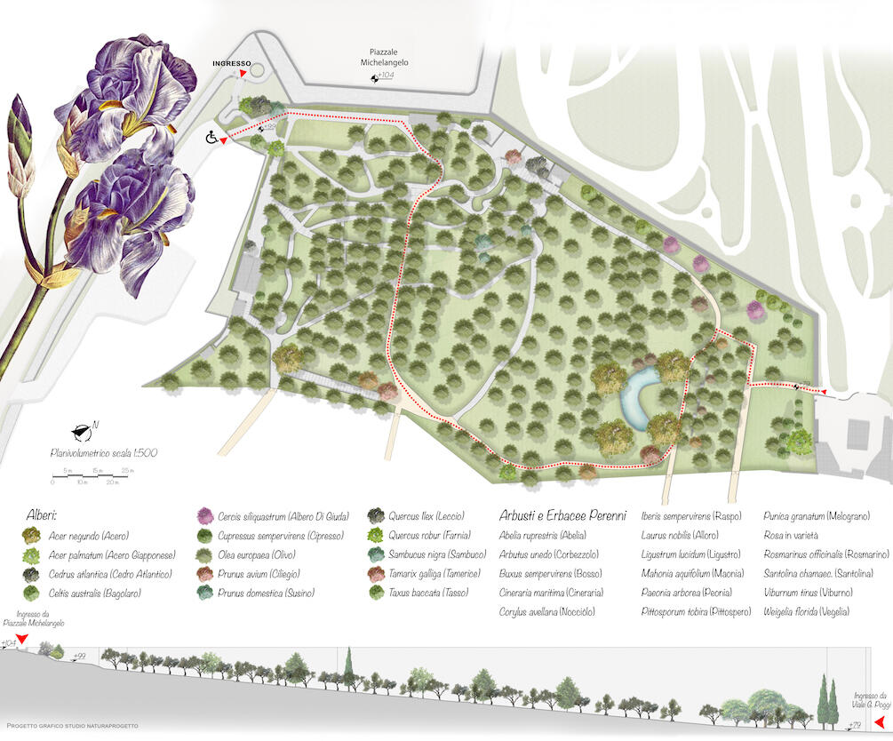 Map of the Florence Iris Garden iris-garden-map-florence.jpg